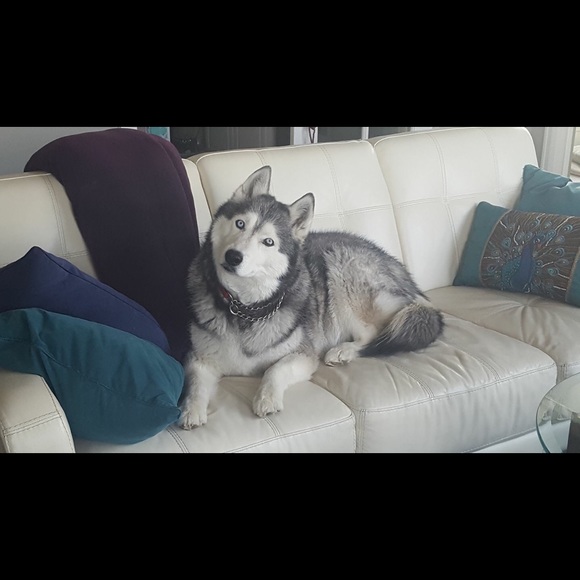 Meet your Posher, Laurie - Picture 6 of 7